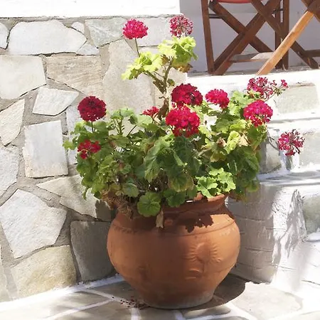 アパート Pyrgis *