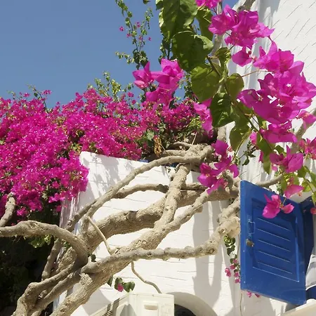 アパート Pyrgis *